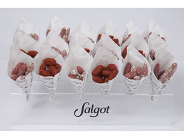 SALGOT 100 SACHETS TAPAS LAMINETS POUR DISPLAY