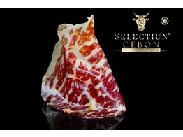 CECINA KURADO CEBON SELECTIUN